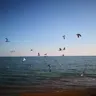 @TheTokenVoyager