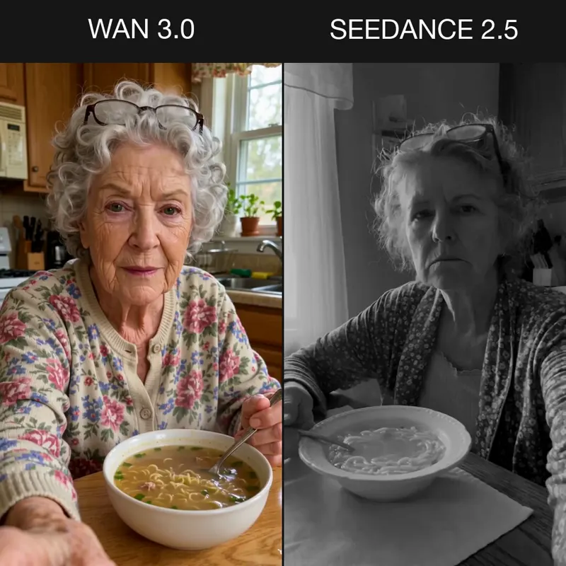 Grandmother with soup, Wan 3.0 vs Seedance 2.5 via fal: Wan 3.0 vs Seedance 2.5